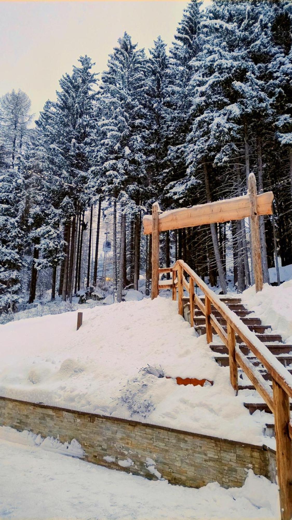 Ale 1206, Marilleva 1400 Accesso Diretto Alle Piste エクステリア 写真