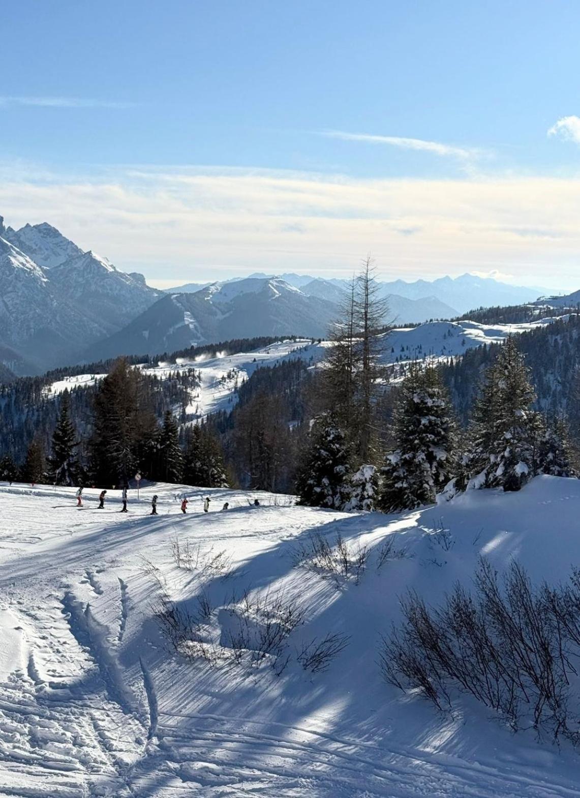 Ale 1206, Marilleva 1400 Accesso Diretto Alle Piste エクステリア 写真